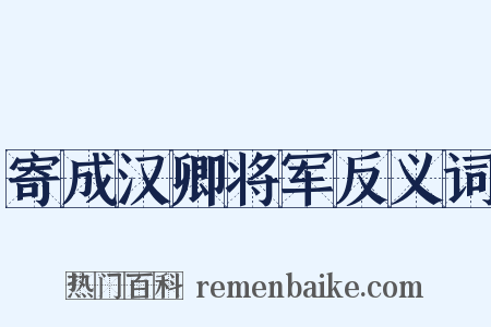 寄成汉卿将军反义词是什么意思的图片